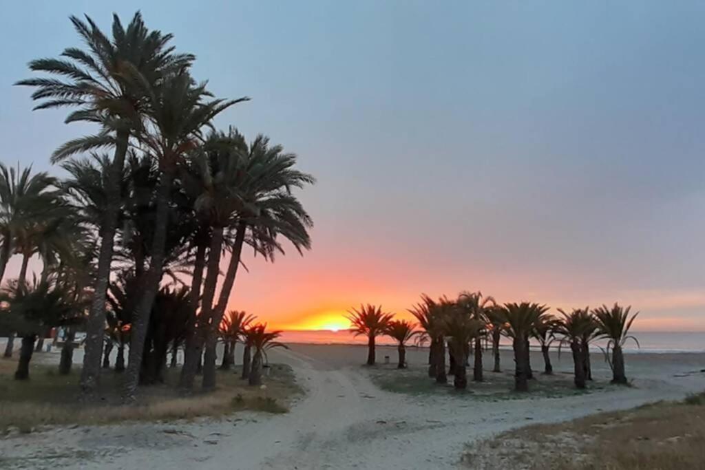 Descansar, Sonreir, Sentir. Paraiso Frente Al Mar Santa Pola Eksteriør billede
